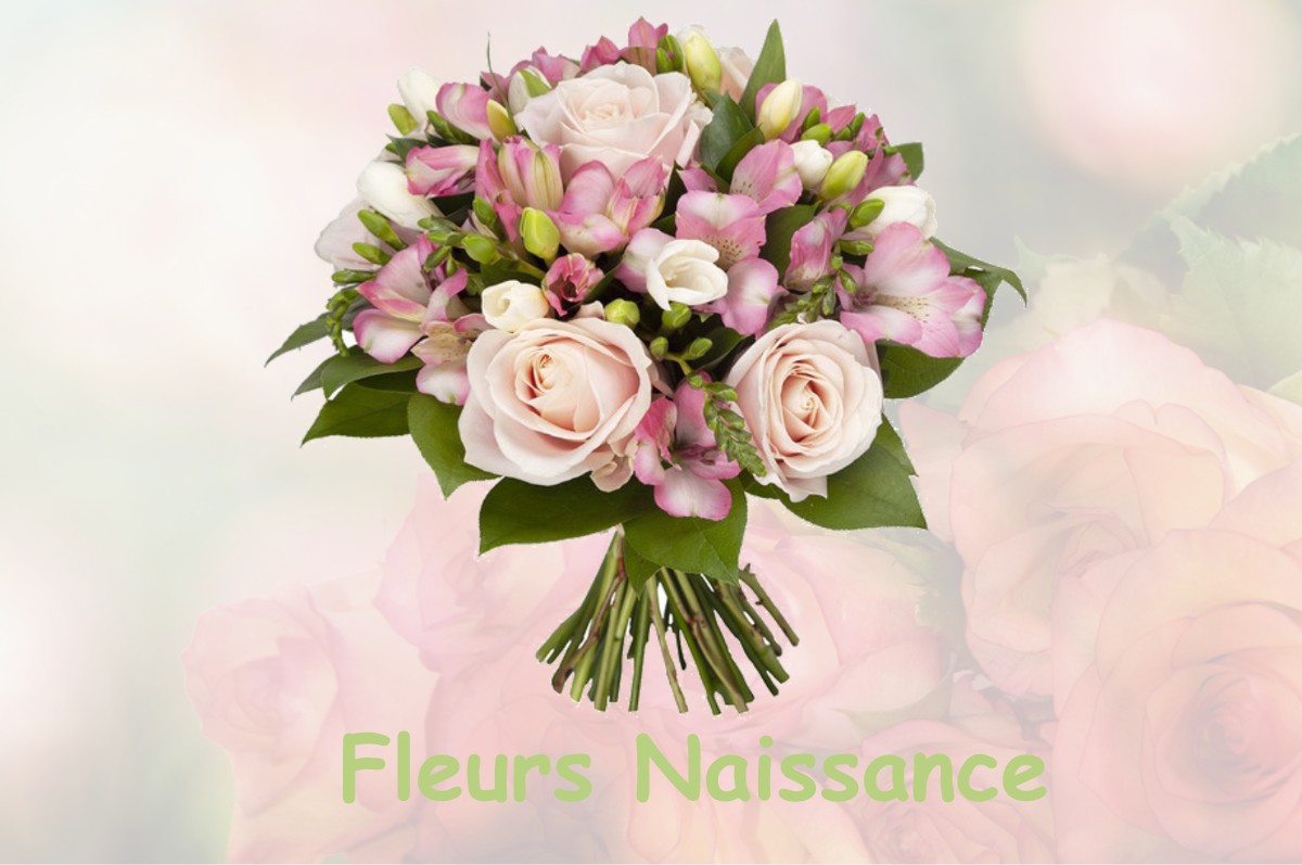 fleurs naissance SAINT-AIGNAN-DES-GUES