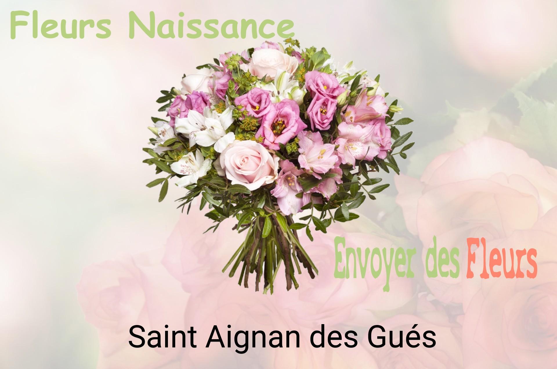 Bouquet de fleurs de naissance livré à Saint-Aignan-des-Gués